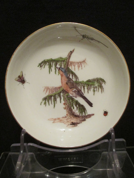 Meissen Porcelain Ornithological Cup & Saucer 1740   (3)