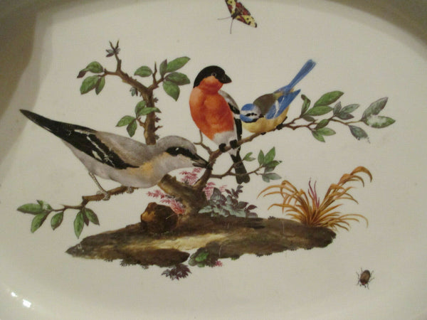 Meissen Porcelain Huge Ornithological Tray, Marcolini 1774