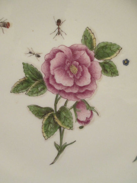 Plat En Porcelaine De Meissen Aux Insectes Et Fleurs Kinger 1740 (2)