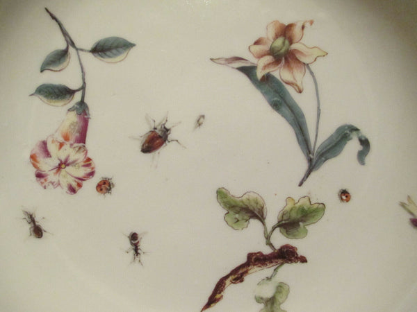 Meissen Porcelain  Soup Bowl with Klinger Bugs and Flowers 1740