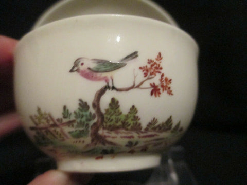 A Nymphenburg Ornitological Cup & Saucer Circa 1760-70