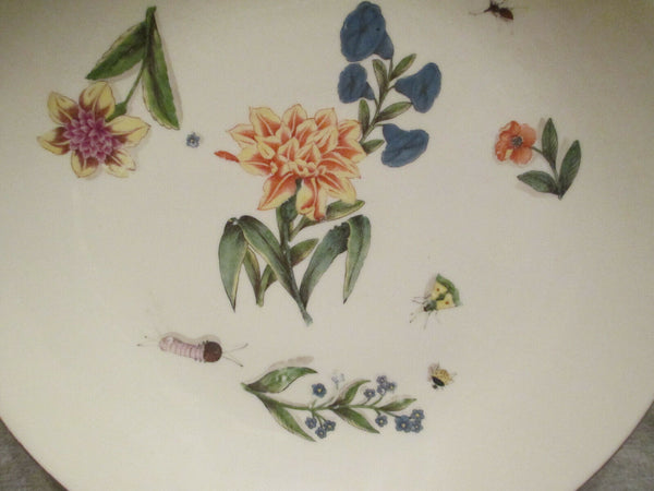 Meissen Porcelain Charger with Kinger Bugs and Flowers 1740  (1)