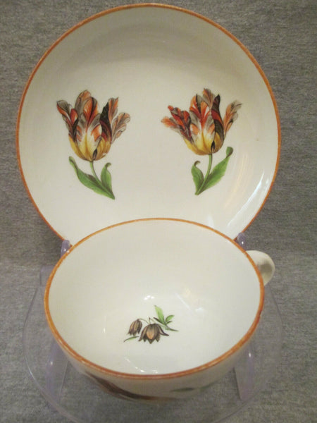 Tasse Et Soucoupe Tulipe Macolini En Porcelaine De Meissen 1774- 1814 