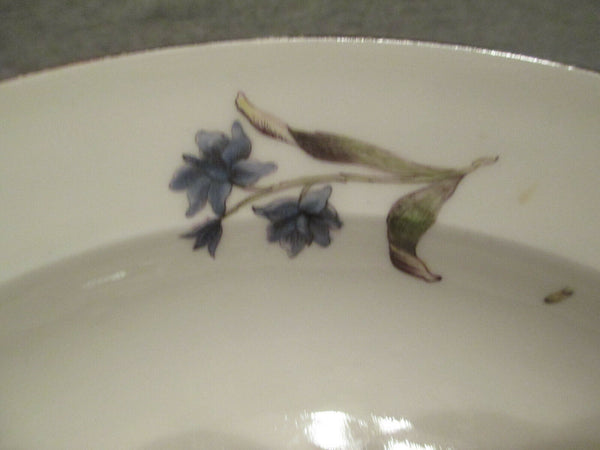 Meissen Porcelain  Soup Bowl with Klinger Bugs and Flowers 1740