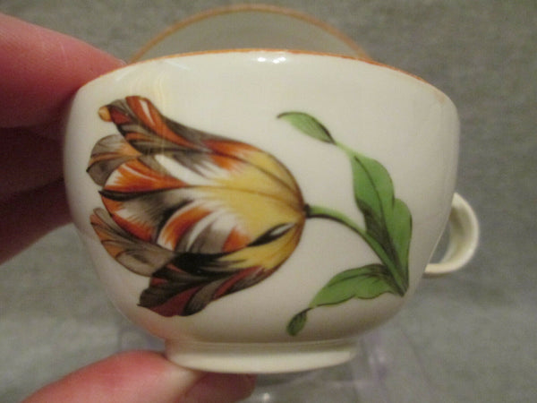 Tasse Et Soucoupe Tulipe Macolini En Porcelaine De Meissen 1774- 1814 