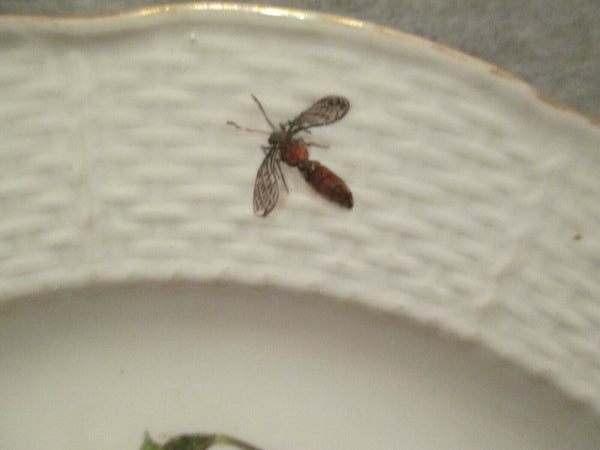 Assiette plate en porcelaine de Meissen avec insectes et fleurs Klinger 1740 (1) 