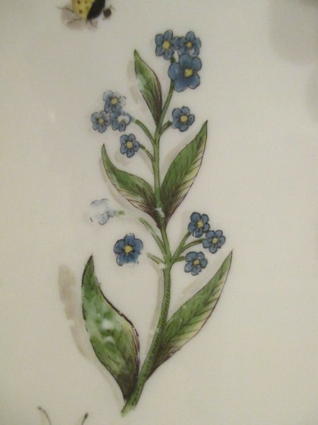 Plat En Porcelaine De Meissen Aux Insectes Et Fleurs Kinger 1740 (1)