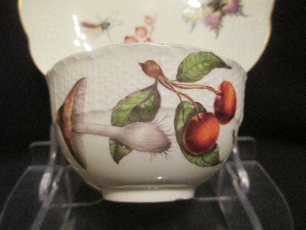 Bol à thé et soucoupe Fruits &amp; Bugs en porcelaine de Meissen 1740