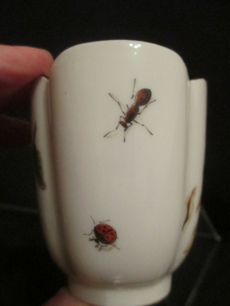 Meissen Porcelain Klinger Bugs & Flowers, Tea Cup 1740