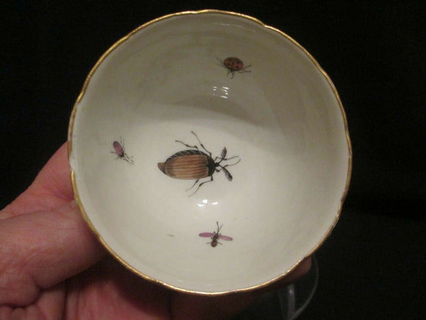 Bol à thé et soucoupe Fruits &amp; Bugs en porcelaine de Meissen 1740