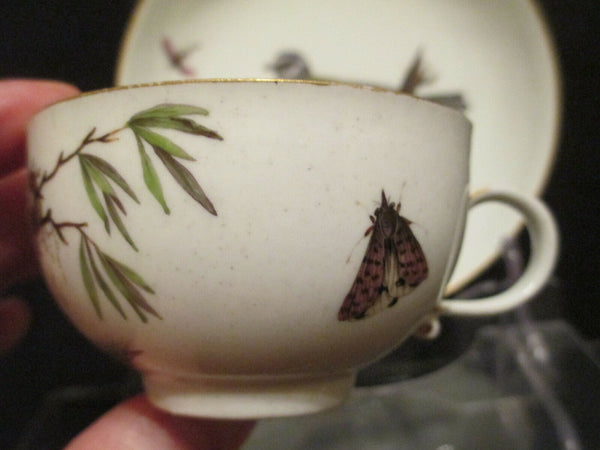 Meissen Porcelain Ornithological Cup & Saucer 1740   (2)