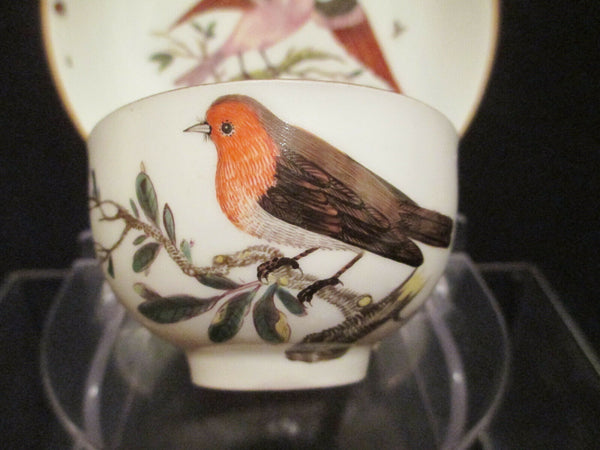 Meissen Porcelain Ornithological Cup & Saucer 1740   (1)