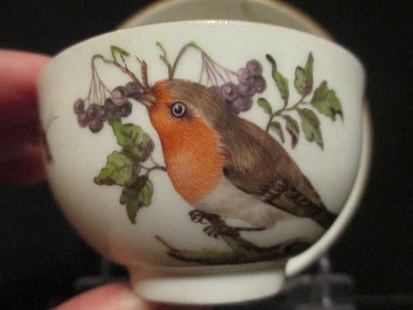 Meissen Porcelain Ornithological Cup & Saucer 1740   (3)