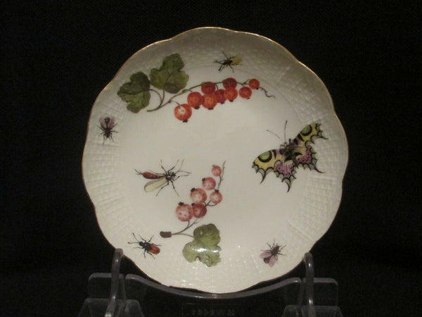 Bol à thé et soucoupe Fruits &amp; Bugs en porcelaine de Meissen 1740