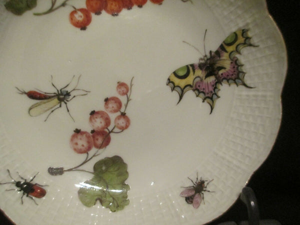 Bol à thé et soucoupe Fruits &amp; Bugs en porcelaine de Meissen 1740