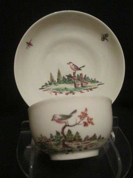 A Nymphenburg Ornitological Cup & Saucer Circa 1760-70