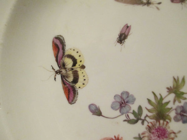 Meissen Porcelain  Soup Plate Bugs and Flowers 1740 (1)