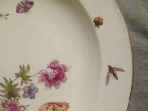 Meissen Porcelain  Soup Plate Bugs and Flowers 1740 (1)