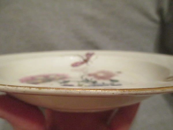 Meissen Porcelain  Soup Plate Bugs and Flowers 1740 (2)