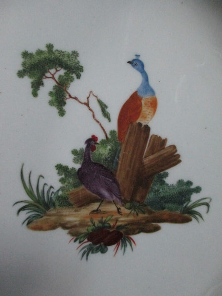 Assiette creuse ornithologique en porcelaine de Tournai (décorée par la Haye) 1770 (No1) 