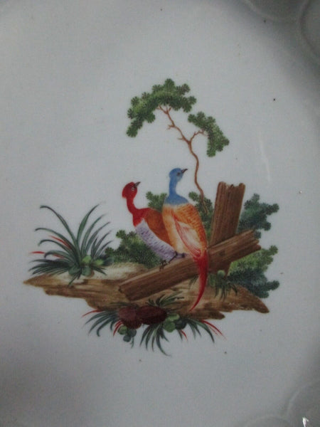 Tournai-Porzellan (Haager dekoriert) Ornithologischer Suppenteller 1770 (Nr. 2) 