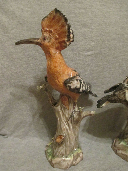 Meissen Matching Pair of Hoopoe Birds 19th C, 1st Class