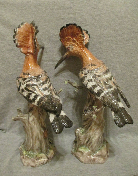 Meissen Matching Pair of Hoopoe Birds 19th C, 1st Class