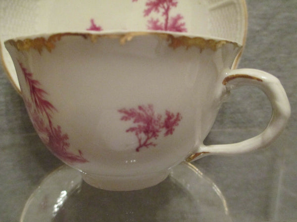 Porcelaine de Ludwigsburg, Porcelaine, Porzellan Scenic Cup &amp; Saucer.1700's 
