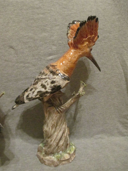 Meissen Matching Pair of Hoopoe Birds 19th C, 1st Class