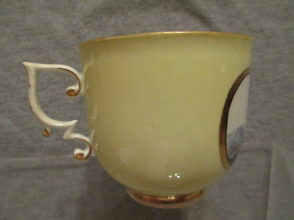 Meissen Yellow Scenic Tea Cup 1745