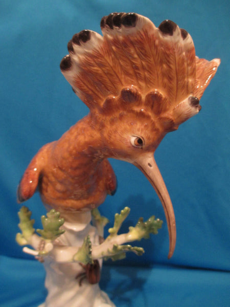 Meissen Wiedehopf Hoopoe Oiseau , 31,1/2cm