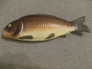 Porcelaine De Meissen, Soupière À Poisson Et Couvercle 19ème Très Rare