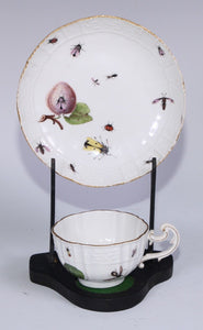 Meissen Porcelain Fruit, & Bugs Tea Cup & Saucer 1740 (#2)