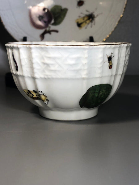 Meissen Porcelain Fruit, & Bugs Tea Cup & Saucer 1740 (#2)