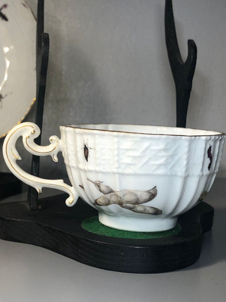 Meissen Porcelain Fruit, & Bugs Tea Cup & Saucer 1740 (#2)