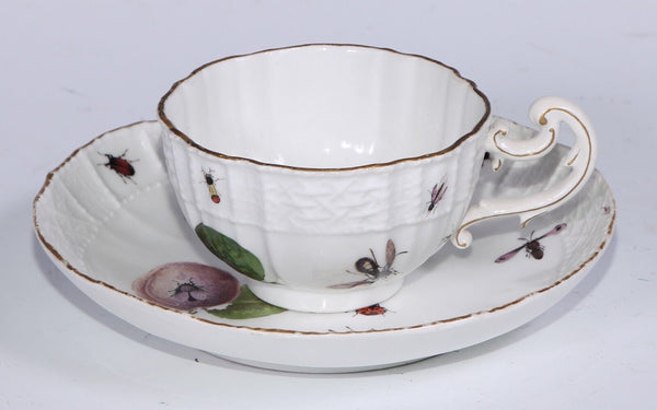 Meissen Porcelain Fruit, & Bugs Tea Cup & Saucer 1740 (#2)