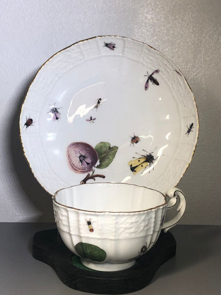 Meissen Porcelain Fruit, & Bugs Tea Cup & Saucer 1740 (#2)