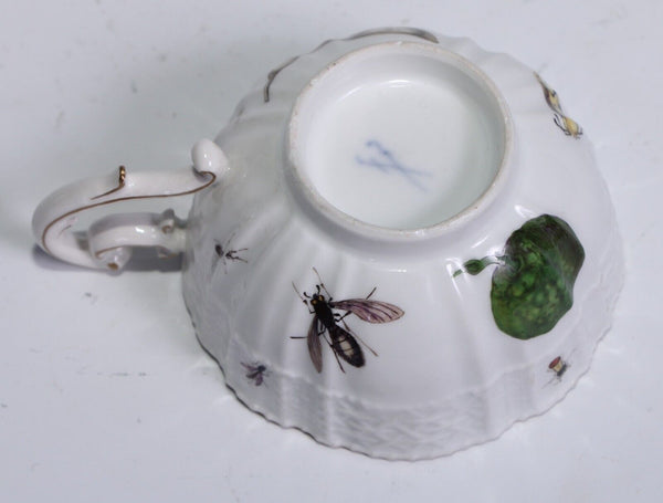 Meissen Porcelain Fruit, & Bugs Tea Cup & Saucer 1740 (#2)