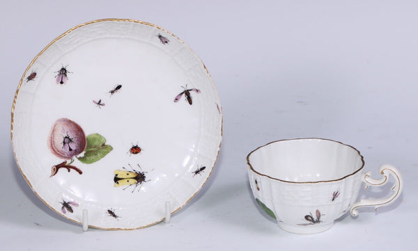 Meissen Porcelain Fruit, & Bugs Tea Cup & Saucer 1740 (#2)